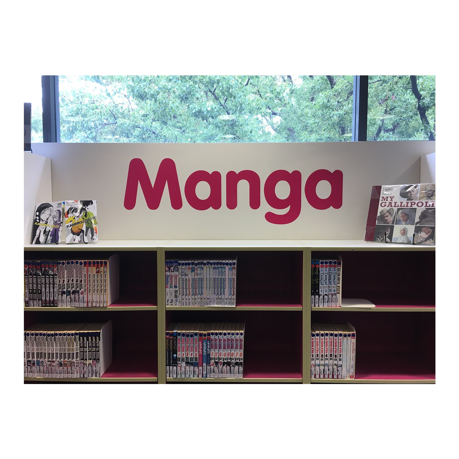 Custom Vinyl Lettering