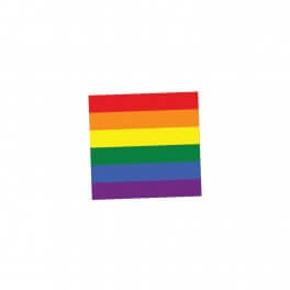100 LGBTQI+ Rainbow Spine Label
