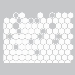 Window Frosting Honeycomb Design